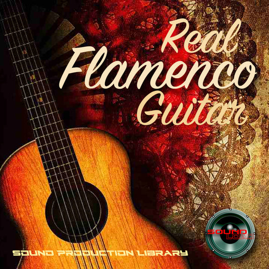 Flamenco Guitar Real - Large Authentic WAVEs Samples/loops/grooves studio Library