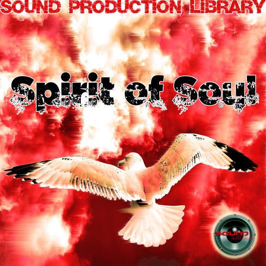 Spirit of Soul Music - Large unique Essential WAVEt Samples/Loops Library