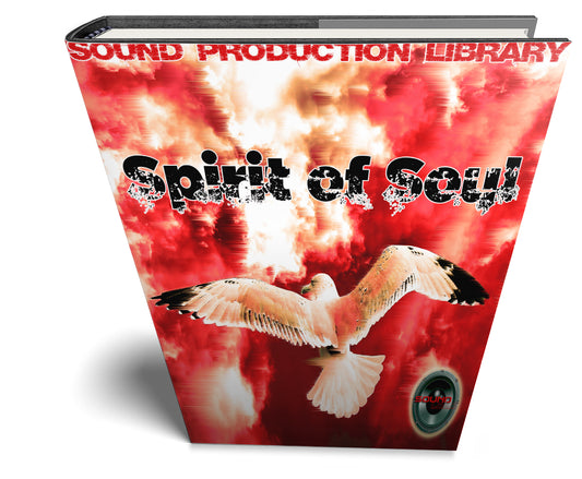 Spirit of Soul Music - Large unique Essential Multi-Layer WAVE/Kontakt Samples/Loops Studi Library