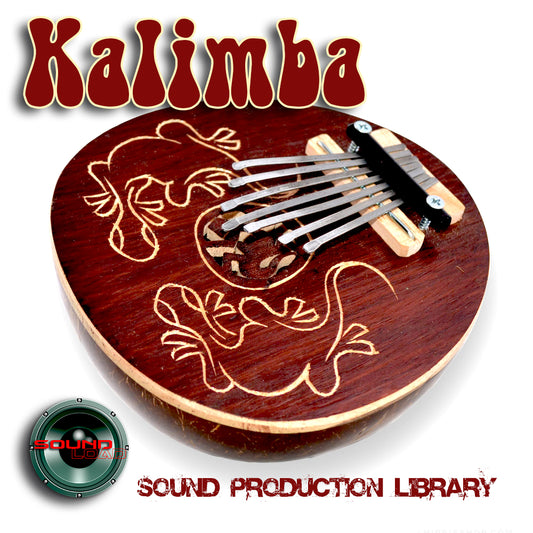 Kalimba Real - Large authentic WAVE Samples/Loops Library